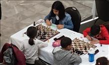 Mavigün Satranç Turnuvasında